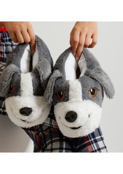 Ev Panduf indirimleri