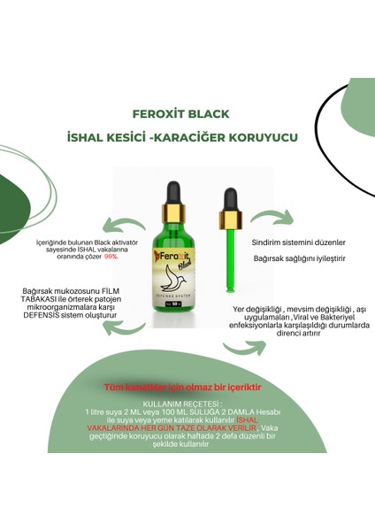 4' Lü Bakım Seti (Probiyotil ,Garlic,Black,Egg Mix )