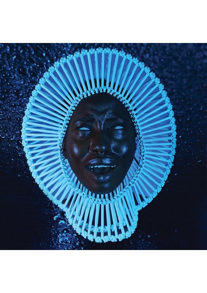 Childish Gambino - Awaken, My Love! - Plak