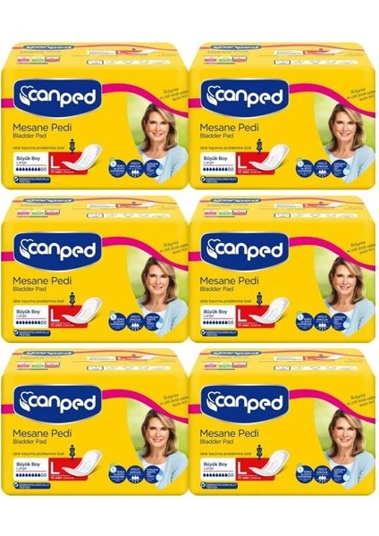 Mesane Pedi Büyük L 10 lu x 6 Adet