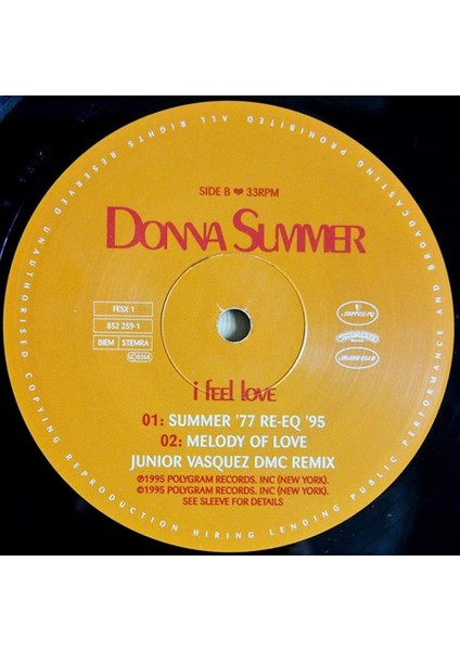 Donna Summer – I Feel Love  Disco Vinly Plak Alithestereo