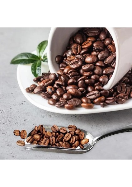 3 Adet Paslanmaz Çelik Kahve Kürek Kahve Çekirdekleri Çanta Çay Kaşığı Kahve Kürek Çay Kürek Kepçe Çay Aksesuarları (Yurt Dışından) modelleri