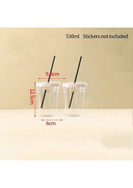 2 Adet 530ML Içme Saman Kapaklı Bardak Tek Kullanımlık Kahve Fincanı Soğuk Içecek Şişeleri Içecekler Bardak Ev Ofis Partisi Için Pet 420ML/500ML/530ML (Yurt Dışından)