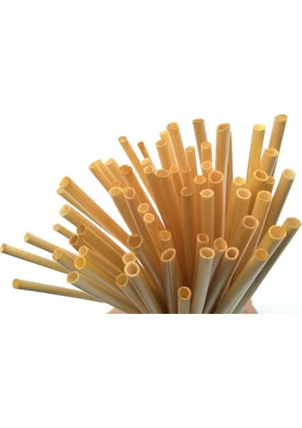 Beyaz 500 Adet Doğal Buğday Samanı Tek Kullanımlık Pipetler % 100% Biyobozunur Pipetler Ev Partisi Aksesuarı Için Çevre Dostu Saman (Yurt Dışından) fırsatları