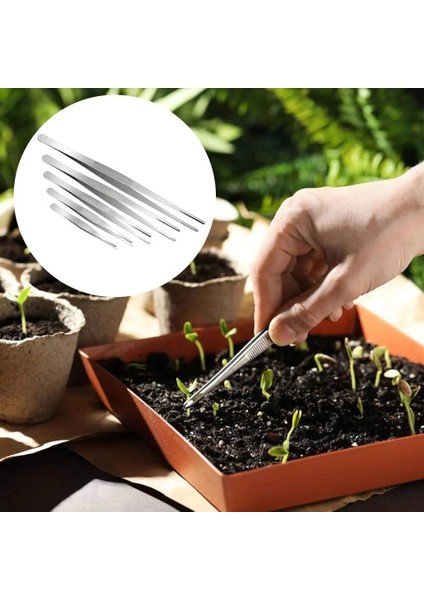 1 Adet 20CM 5/6/8/10/12 Inç Paslanmaz Çelik Fabrikası Cımbız Düz Cımbız Besleme Maşası Akvaryum Cımbız Bahçe Balık Tankı Için Su (Yurt Dışından) modelleri