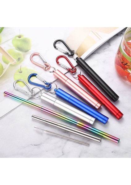 F Yeniden Kullanılabilir Taşınabilir Içme Pipeti Paslanmaz Çelik Teleskopik Pipet Temizleme Fırçası ile Kamp Malzemeleri (Yurt Dışından)