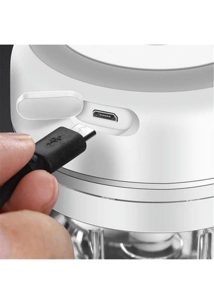 Stil 6 L Mutfak Aletleri Elektrikli Sarımsak Ezici Dayanıklı Mini Kırıcı Kıyıcı USB Şarj Sarımsak Ezilmiş Zencefil Ezilmiş Taze Biber (Yurt Dışından) indirimleri