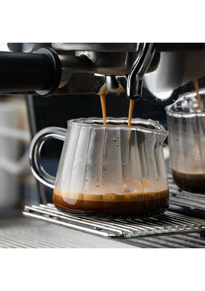 160 ml Kahve Süt Sürahisi Seti Iskandinav Şeffaf Glasswith Saplı Espresso Kahve Köpürtme Fincan Çay Sürahi Ayırıcı Cafe Drinkware Aracı (Yurt Dışından)