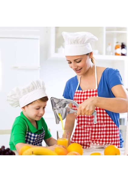 Bir Set Buz Bloğu Manuel Sıkacağı Basın Limon Sıkacağı Paslanmaz Çelik Alaşımlı El Sıkacağı Sıkacağı Basın Limon Portakal Sıkacağı Meyve Sıkacağı Araçları (Yurt Dışından)