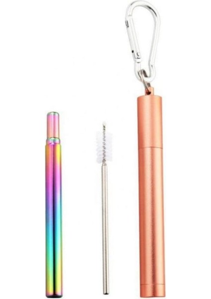 B Yeniden Kullanılabilir Taşınabilir Içme Pipeti Paslanmaz Çelik Teleskopik Pipet Temizleme Fırçası ile Kamp Malzemeleri (Yurt Dışından)