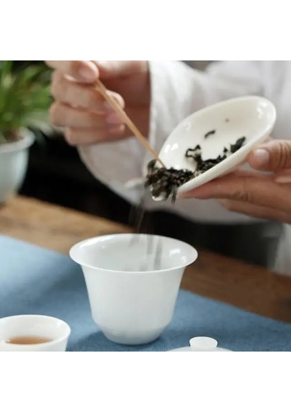 Çay Odası Ofis Iç Mekan Için Seramik Çay Kaşığı Çay Yaprağı Ölçü Kaşığı Çay Sanatı (Yurt Dışından)