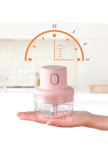B 250 ml Mutfak Kıyma Makinesi Parçalayıcı Sarımsak Zencefil Kıyıcı Blender Çok Fonksiyonlu Ev Mutfak Robotu Elektrikli Mikser (Yurt Dışından) indirimleri