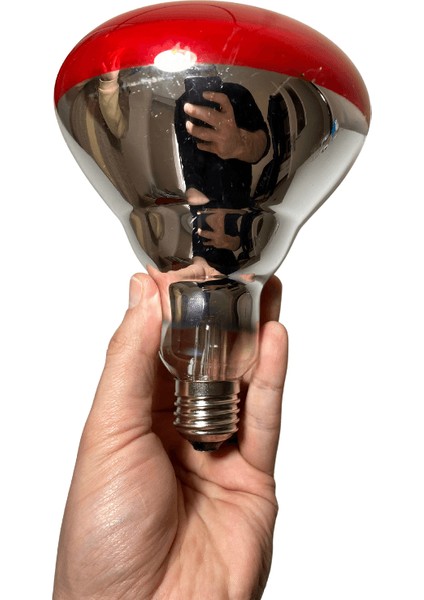 Ledvance 250W Infrared Ampul BR40 E27 Isıtıcılı Lamba Kırmızı Işık (2 Adet)