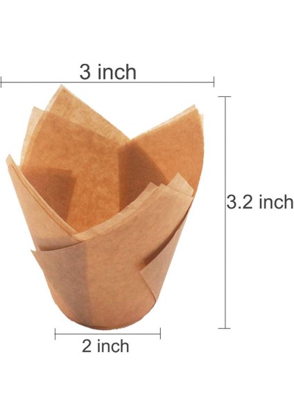 200 Parça Lale Cupcake Liner Pişirme Bardakları Düğün ve Doğum Günü Için Kağıt Cupcake ve Muffin Pişirme Bardakları (Yurt Dışından) modelleri