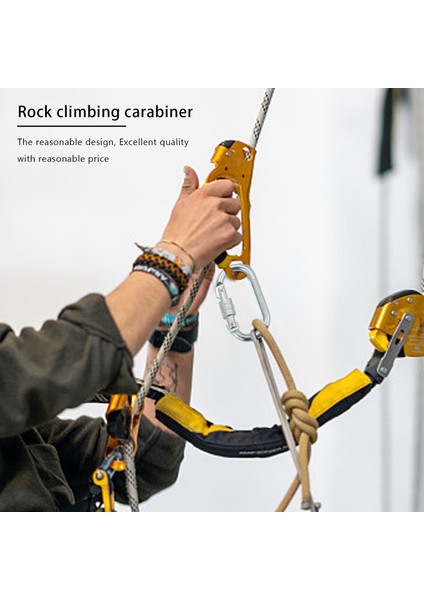 O Şekli 25KN Alaşımlı Çelik Emniyet Tokası Profesyonel Kaya Tırmanışı Karabina Dağcılık Tokası Ana Kilit (Yurt Dışından) modelleri
