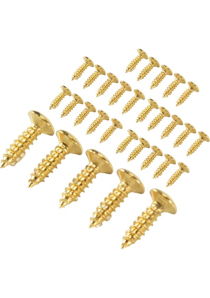 30 Adet Yeni Altın Pickguard Vidaları Çamurluk Strat/tele Elektro Gitar Bas (Yurt Dışından)