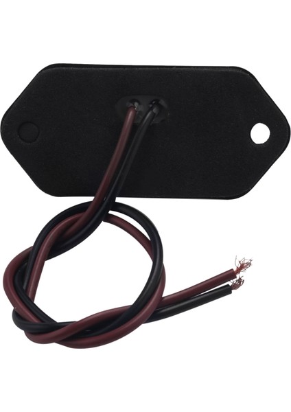 12/24V 3 LED Lisans Plaka Etiketi Işık Tekne Rv Kamyon Römork Iç Adım Lambası (Yurt Dışından)