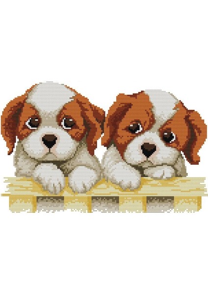 Dıy El Örgü Baskı Çapraz Dikiş Seti Nakış Seti 11CT Iki Köpek Desenleri Çapraz Dikiş 46*32 cm Ev Dekorasyon (Yurt Dışından)