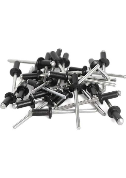 600PC Perçinler 8 Boyutlu Kör Perçin Çeşitleri Kiti (1/8ın x 1/4IN,5/16IN,3/8IN,1/2IN,3/16IN x 5/16IN,3/8IN, 1/2ın,5/8ın) (Yurt Dışından)