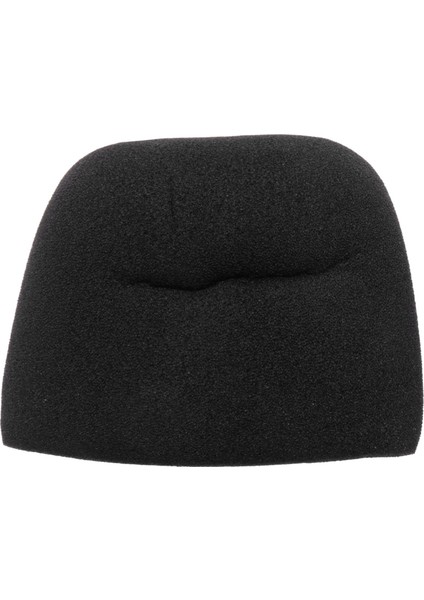Mavi Yeti Için Mikrofon Kapağı Sünger Mikrofon Ön Cam, Yeti Pro Kondenser Mikrofon (Sünger ve Tüylü Ön Cam, 2 Paket) (Yurt Dışından)