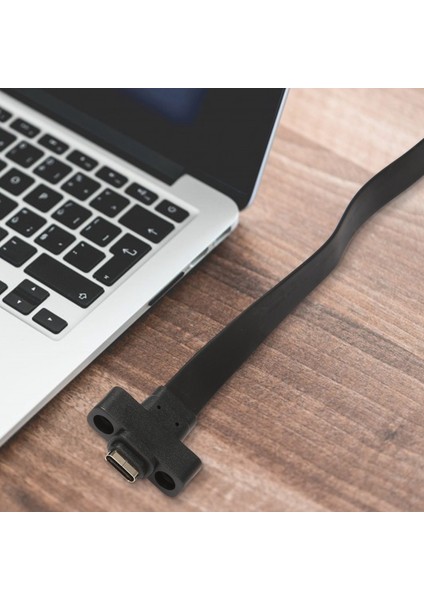 USB 3.1 Ön Panel Tip E - Tip C Uzatma Kablosu, Gen 2 (10 Gbit/s) Dahili Adaptör Kablosu, 2 Vidalı (50 Cm) (Yurt Dışından)