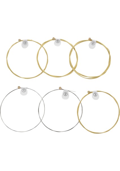 6 Strings/set Ziko Dag Akustik Gitar Dizeleri Müzik Aletleri Akustik Gitar Dize Gitar Parçaları DAG-010 (Yurt Dışından)