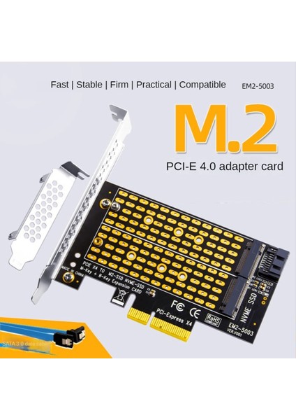 Pcıe 4.0 - M2/m.2 Adaptörü Sata M.2 SSD Pcıe Adaptörü Nvme/m2 Pcıe Adaptörü SSD M2 - Sata Pcı-E Kartı M Anahtar + B Anahtarı (Yurt Dışından)