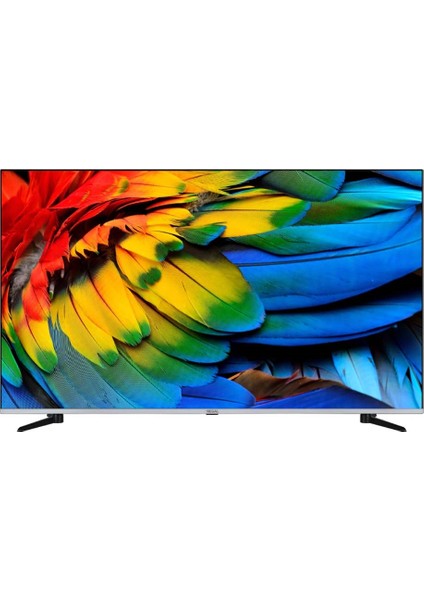 55R66QA11 55" 139 Ekran Dahili Uydu Alıcılı 4K Ultra HD Smart LED TV