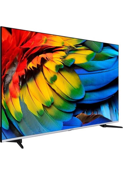 55R66QA11 55" 139 Ekran Dahili Uydu Alıcılı 4K Ultra HD Smart LED TV