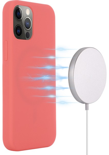 iPhone 15 Pro Max Ince Telefon Kılıfı Magsafe ile Uyumlu Yumuşak Silikon Telefon Kabuğu (Yurt Dışından) fırsatları