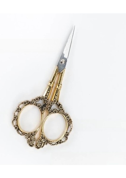 Altın Retro Nail Art Makas Paslanmaz Çelik Tırnak Eti Hassas Tırnak Salonu Malzemeleri ve Aracı Pedikür Güzellik Bakım Seti Tırnak Için (Yurt Dışından)