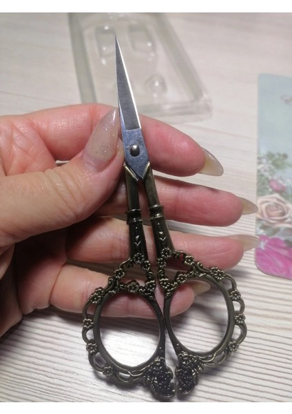 6 Vintage Avrupa Paslanmaz Çelik Makas Profesyonel Manikür Tırnak Eti Makası Tırnak Salonu Malzemeleri Pedikür Güzellik Tırnak Aracı (Yurt Dışından) modelleri