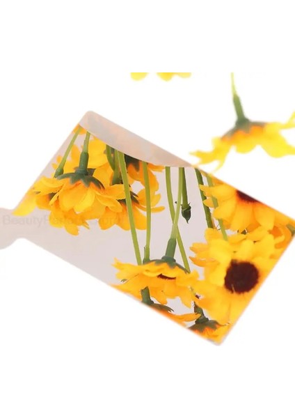 A1 1pc Metal Ultra-Ince Mini Makyaj Cep Aynaları Paslanmaz Çelik Kırılmaz Kozmetik Ayna Güzellik Taşınabilir Ayna Kollu (Yurt Dışından) fırsatları