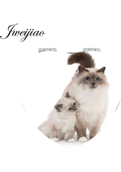 E807 Youhaken Ay ve Kedi Şube Kalp Cep Aynası Pu Deri Mini Katlanır 1x/2x Büyüteç Makyaj Aynası Güzellik Kadınlar Için (Yurt Dışından)