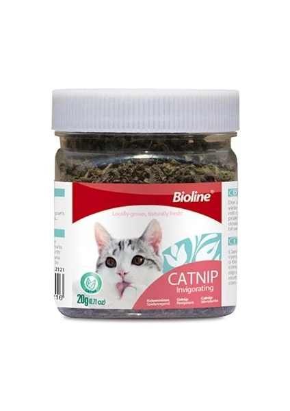 Catnip Kedi Otu 20 gr