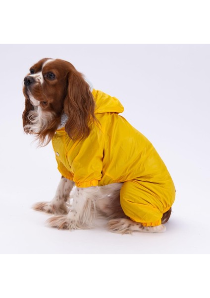 Sarı Kürklü Tulum Yağmurluk Küçük Irk Yağmurluk Köpek Kıyafeti Köpek Yağmurluğu