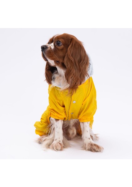 Sarı Kürklü Tulum Yağmurluk Küçük Irk Yağmurluk Köpek Kıyafeti Köpek Yağmurluğu modelleri