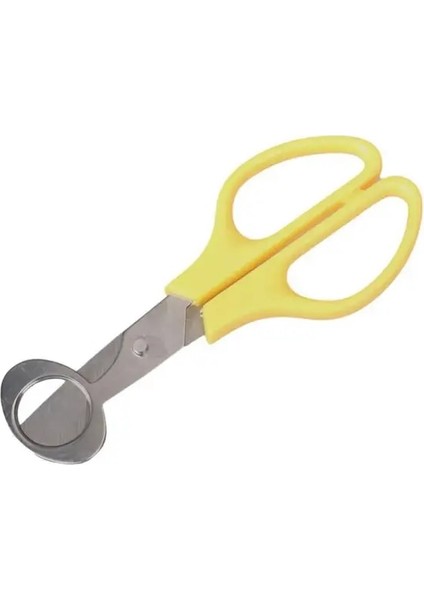 10PC-03 10 Adet/takım Güvercin Bıldırcın Yumurtası Makas Kuş Kesici Açacağı Paslanmaz Çelik Kesme Makinesi Kabukları Makas Kraker Bıçak Mutfak Aksesuarları (Yurt Dışından)