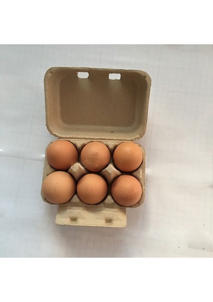 Beyaz 10 Adet Yumurta Kartonları 6 Yumurta Tutucu Kağıt Hamuru Yumurta Depolama Tepsileri Yumurta Kapları Ev Mutfak Restoran Için Yumurta Tutucu (Yurt Dışından)