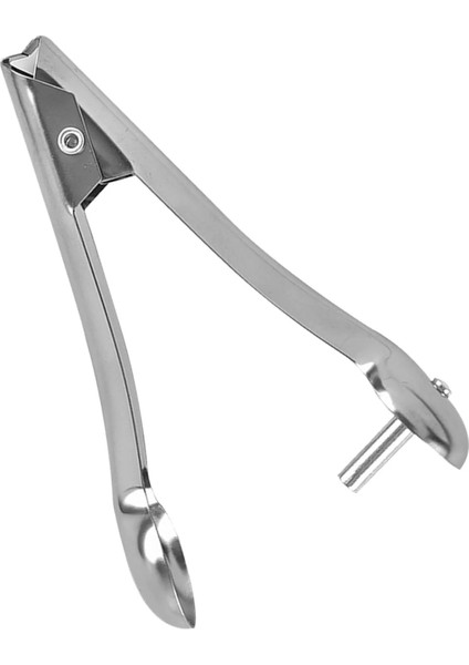 Gümüş Meyve Sıkacağı Bardağı Yedek Kiraz Pitter Aracı Paslanmaz Çelik Kiraz Pitter Taşınabilir Kiraz Çekirdeği Sökücü Sıkacağı Mikser Eki (Yurt Dışından) fiyatları