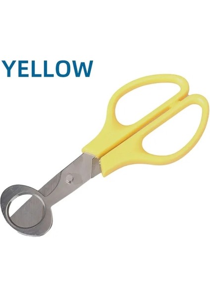 Sarı Paslanmaz Çelik Bıldırcın Yumurtası Kabuk Açıcı Yumurta Kabuğu Makası Kavrulmuş Kuş Yumurta Makas Yumurta Kabuğu Açma Bölücü Mutfak Pişirme Araçları (Yurt Dışından) fiyatları