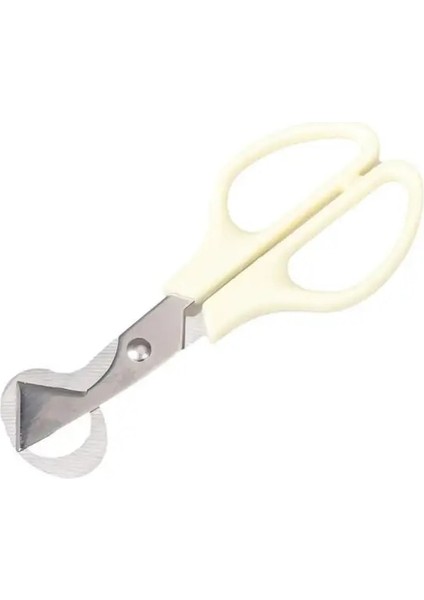 1 Adet Yumurta Makas Paslanmaz Çelik Bıldırcın Yumurtası Makas Açacağı Çiğ Yumurta Açık Bıçak Kesme Makinesi Yaratıcı Alet Takımı Mutfak Aksesuarları Için (Yurt Dışından) fiyatları