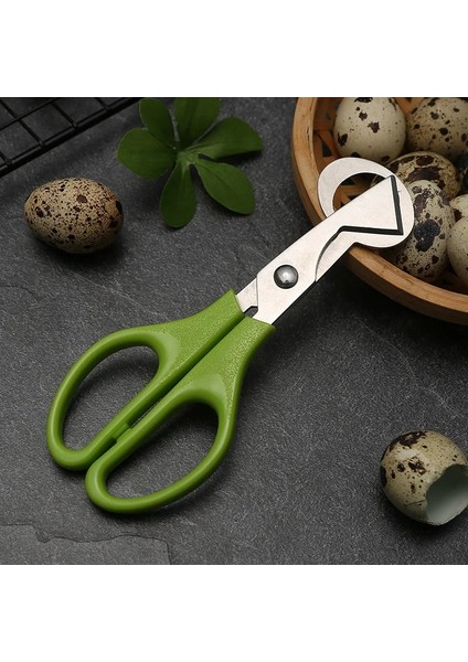 Siyah Ev Çelik Bıldırcın Yumurtası Makas Bıçak Yumurta Açacağı Bıldırcın Yumurtası Bıçak Mutfak Makas (Yurt Dışından) fırsatları