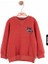 Erkek Bebek Sweatshirt 45624 1