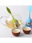 Çilek Çay Demlik Paslanmaz Çelik Filtre Yaprak Çay Makinesi Silikon Kolu Yaratıcı Çay Elek Araçları Teaware Süzgeç Mutfak Aksesuarları (Yurt Dışından) 5