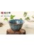 15 El Yapımı Seramik Çay Fincanları Çin Çay Bardağı Porselen Bardak Drinkware (Yurt Dışından) 1