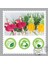 Flamingo Kağıt Saman 25 Adet Çok Renkli Yaratıcı Tek Kullanımlık Kağıt Saman Şemsiye Flamingo Ananas Meyve Kokteyli Saman Hawaiian Pholiday Eğlenceli Içecek Saman (Yurt Dışından) 3