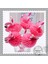 Flamingo Kağıt Saman 25 Adet Çok Renkli Yaratıcı Tek Kullanımlık Kağıt Saman Şemsiye Flamingo Ananas Meyve Kokteyli Saman Hawaiian Pholiday Eğlenceli Içecek Saman (Yurt Dışından) 4