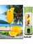 Yeşil 6 Bıçaklı Taşınabilir Elektrikli Meyve Sıkacağı USB Şarj Limon Portakal Blender Mini Meyve Suyu Bardağı 2/6 Bıçaklı Sıkacağı Ev Meyve Suyu Yapma Makinesi (Yurt Dışından) 4