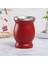 Turuncu 8 Oz Yerba Mate Çay Bardağı Çift Duvarlı Doğal Kabak Drinkware Teaware Arjantin Kabak Şeklinde Kolay Temizlenebilir Paslanmaz Çelik (Yurt Dışından) 3
